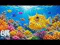 Incredible Aquarium 8K ULTRA HD — Dive Deep &amp; Explore the Ocean's Hidden World Dream Life
