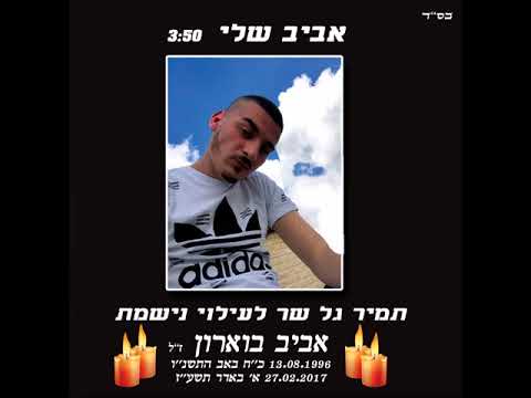עטיפת אביב שלי