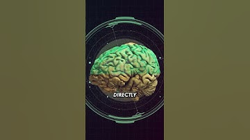 Brain Facts and Quick Tips to Sharpen it!! 🧠 | 205/365