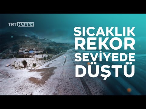 Video: Brezilya Taraması