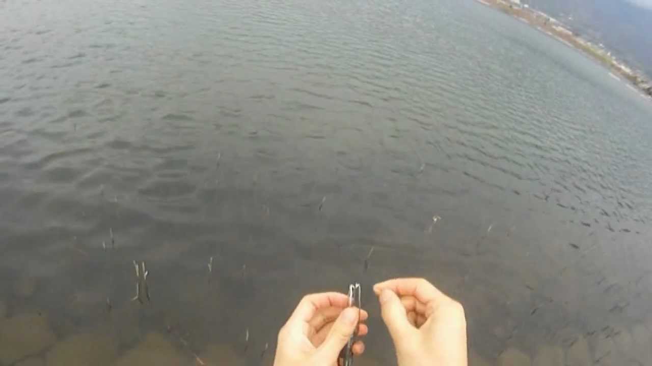 陸っぱり 根掛り回収機 根掛りの外し方 アラバマリグ Youtube