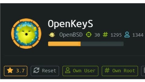 Hack the box walk through open keys