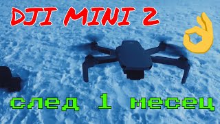 DJI MINI 2 - Реален полет в Боровец и мнение след един месец ползване