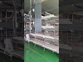 H-type broilers cage system #factory #chicken #machine #poultry #automatic  #farming #manufacturing