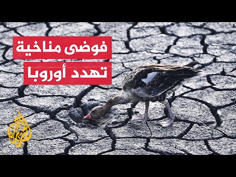 فيديو: الطقس والمناخ في مرسيليا