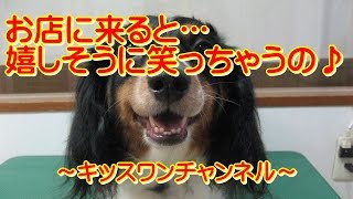 お店に来ると…嬉しそうに笑っちゃうの♪【トリミング 中型犬】0048　素敵な笑顔のミックス犬の女の子～♪ 二本足で立ち上がってこのスマイル！スタッフはもう悩殺寸前メロメロです（≧∇≦）お店にあそびに…