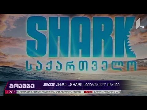 პირველ არხზე „SHARK საქართველო“ იწყება