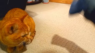 Human Needs A Time Out