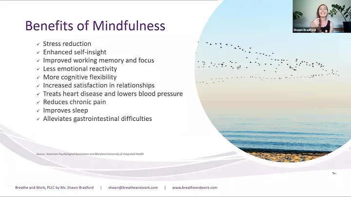Mindful Experiment Day One with Shawn Bradford at ...