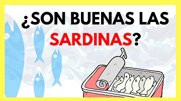 ¿Son buenas las sardinas en lata?