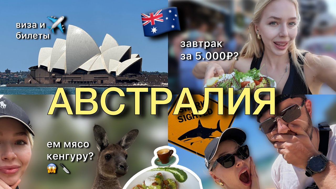 Австралия, Сидней VLOG | виза | акулы | цены на еду и проживание | ем кенгуру? | пробежки | кофе