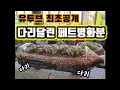 페트병화분에 다리가 달렸어요!!!저면관수도 한번에!!최초공개 합니다