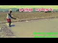 நாற்று பாவுதல் | விவசாயம் பழகுவோம் | விவசாயம் காப்போம் | Vivasayam | Vivasayi