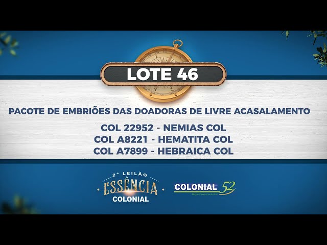 LOTE 46   COL 22952,COL A8221,A7899