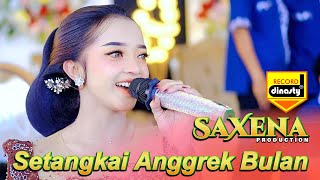 Setangkai Anggrek Bulan  Dik Citra   Saxena 