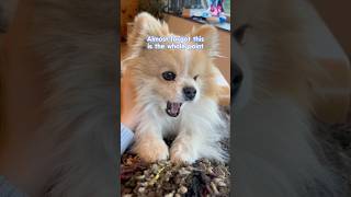 Almost Forgot This Is The Whole Point