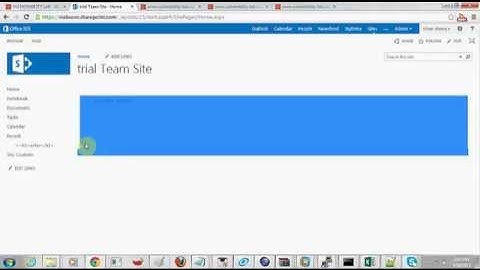 Microsoft Sharepoint 2013 in Office 365 (cloud)  - Filter Bypass & Persistent Vulnerability