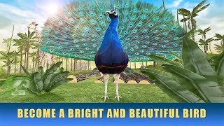🐦👍Peacock Simulator 3D-Симулятор павлина-By Wild Animals Life-Android screenshot 5