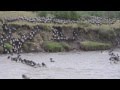 Northern Serengeti in Tanzania Wildebeests and Migration