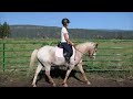 Practicing dressage on Sunshine :)