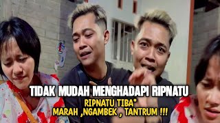 Download Lagu MAS TAPAO MENANGIS‼️ MP3