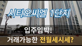 시티오씨엘1단지 전월세 시세?! 보증금 조절가능한 2~…