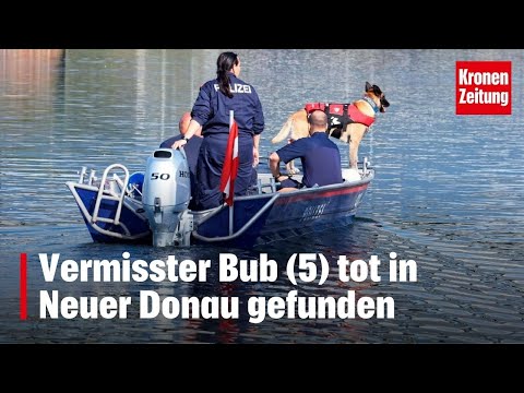Video: Hat die Donau geflutet?