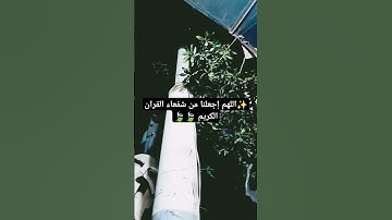 القرآن الكريم شفيعكم 💝 #quran #اكسبلور #القرآن_الكريم #قران_كريم #reel #islamicvideo #for #all
