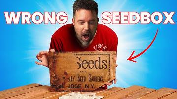 What the Hell is Torrenting and Seedbox You Actually Need