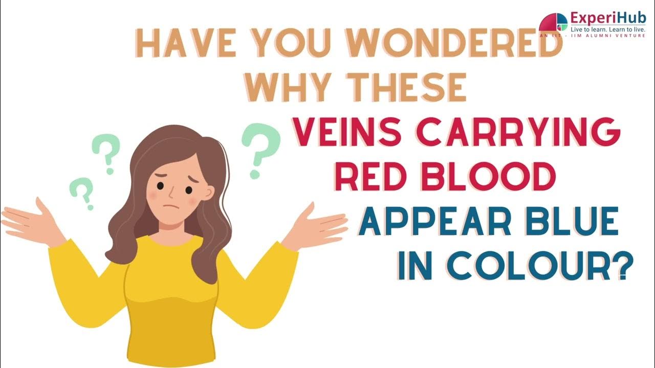 Why do Veins appear Blue when the blood that they carry is Red?HOTS