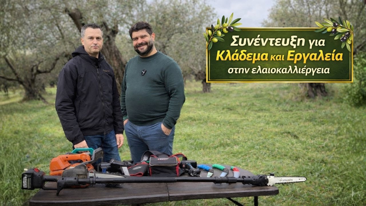 Κλάδεμα & Εργαλεία στην Ελαιοκαλλιέργεια