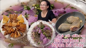 🇺🇸 bữa cơm quê. Cá rô đồng. Nấu canh khoai mỡ. Khô cá lóc chiên.