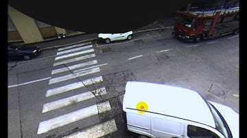 DUEVI - Demonstration of dewarping software