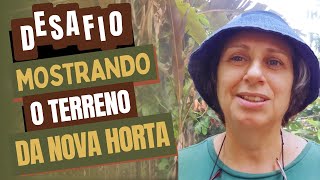 Mostrando O Terreno Para A Horta Como Fazer Uma Horta Em Casa