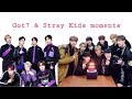 GOT7 & STRAY KIDS MOMENTS