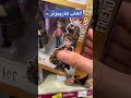 لاقيت ألعاب هاري بوتر جديدة 