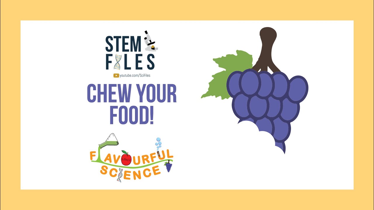 Chew your food! - Digestion - SciFiles x Flavourful Science - YouTube