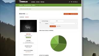 Pattern Buck Movements with Trail Camera Photos