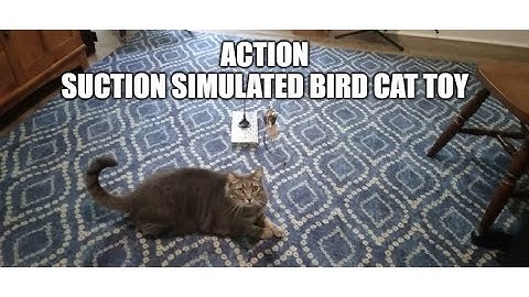 Simulated Interactive Suction Kitten Cat Toy Funny Feather Bird With Bell & Movable Wand Stick.