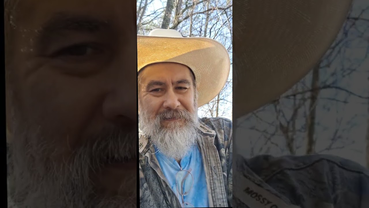 Today, I am Mr. Lumberjack.