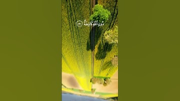 تلاوة من سورة النجم #quran #قرآن