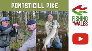 Pontsticill Pike - Predator deadbait fishing in the Brecon Beacons Wales