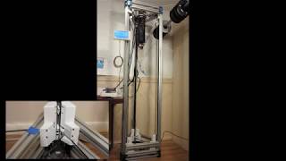 Moving Bed on a Delta
