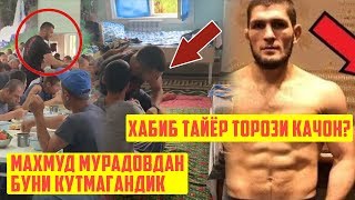 МАХМУД МУРАДОВ КАЧОН UFCга УТАСИЗ? ХАБИБНИ КОМАНДАСИ ДУБАЙНИ ТИТРАТДИ