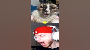 Thumbnail of Wake Up #shorts #short #memes #meme