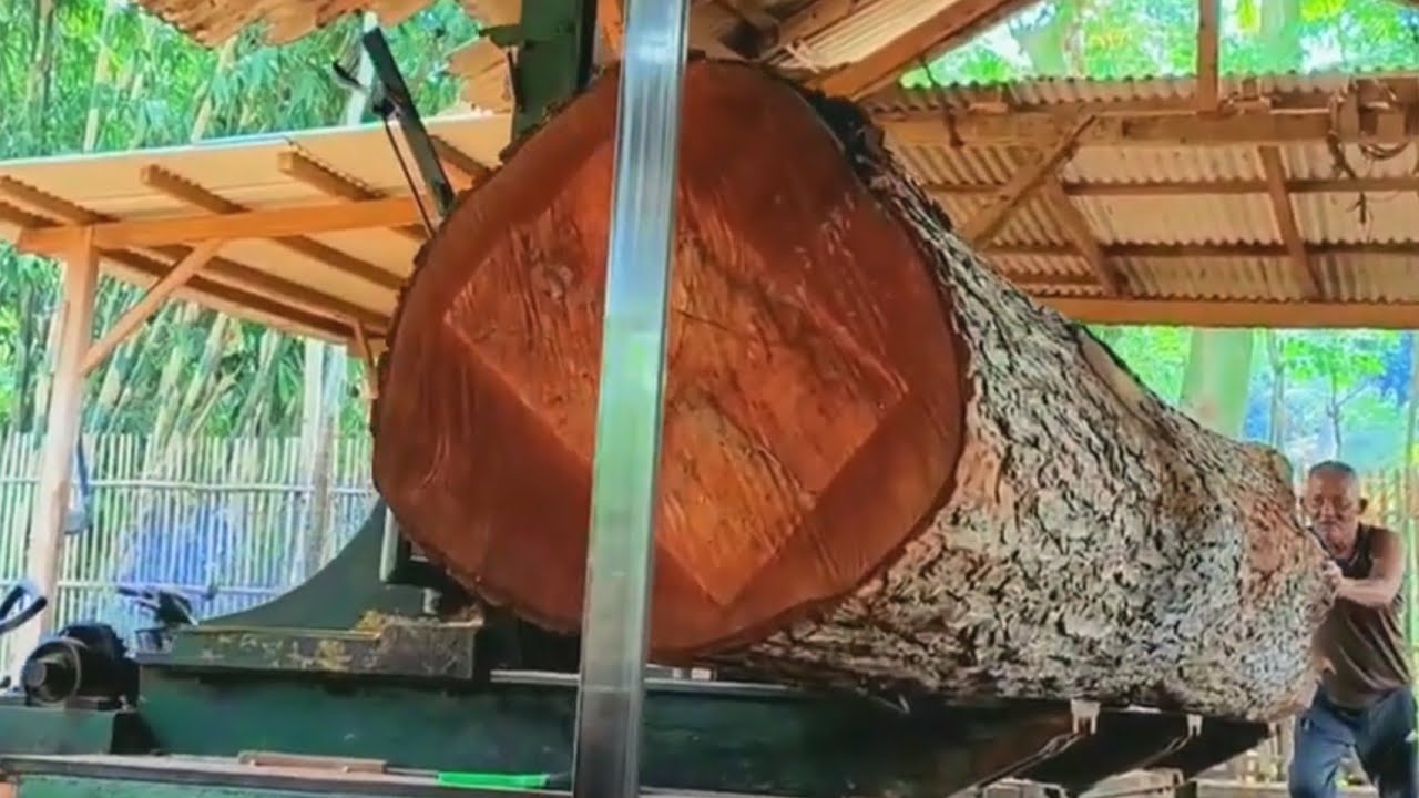 Sawing a Beautiful Giant Mahogany Log 