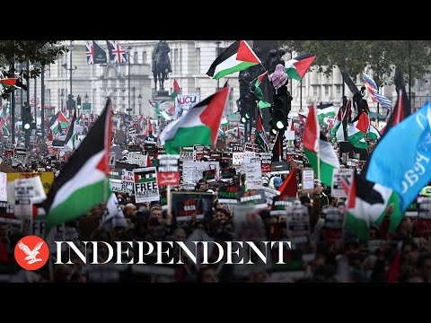 Live: Pro-Palestine protesters march in London calling for Gaza ceasefire