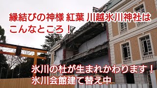 1.5倍速でどうぞ！#合格祈願  縁結びの神様 紅葉 川越氷川神社はこんな ところ！氷川会館建て替え中！#川越 KOYO  KAWAGOE HIKAWA JINJYA!