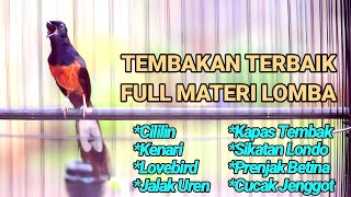 MASTERAN MURAI BATU JUARA TERBAIK SEPANJANG MASA 100% EFEKTIF BIKIN BONGKAR MATERI