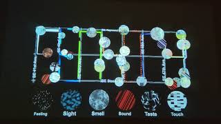Sensory Map Video Installation